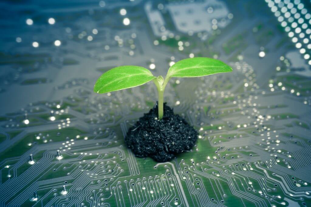plant growing out of a circuit board